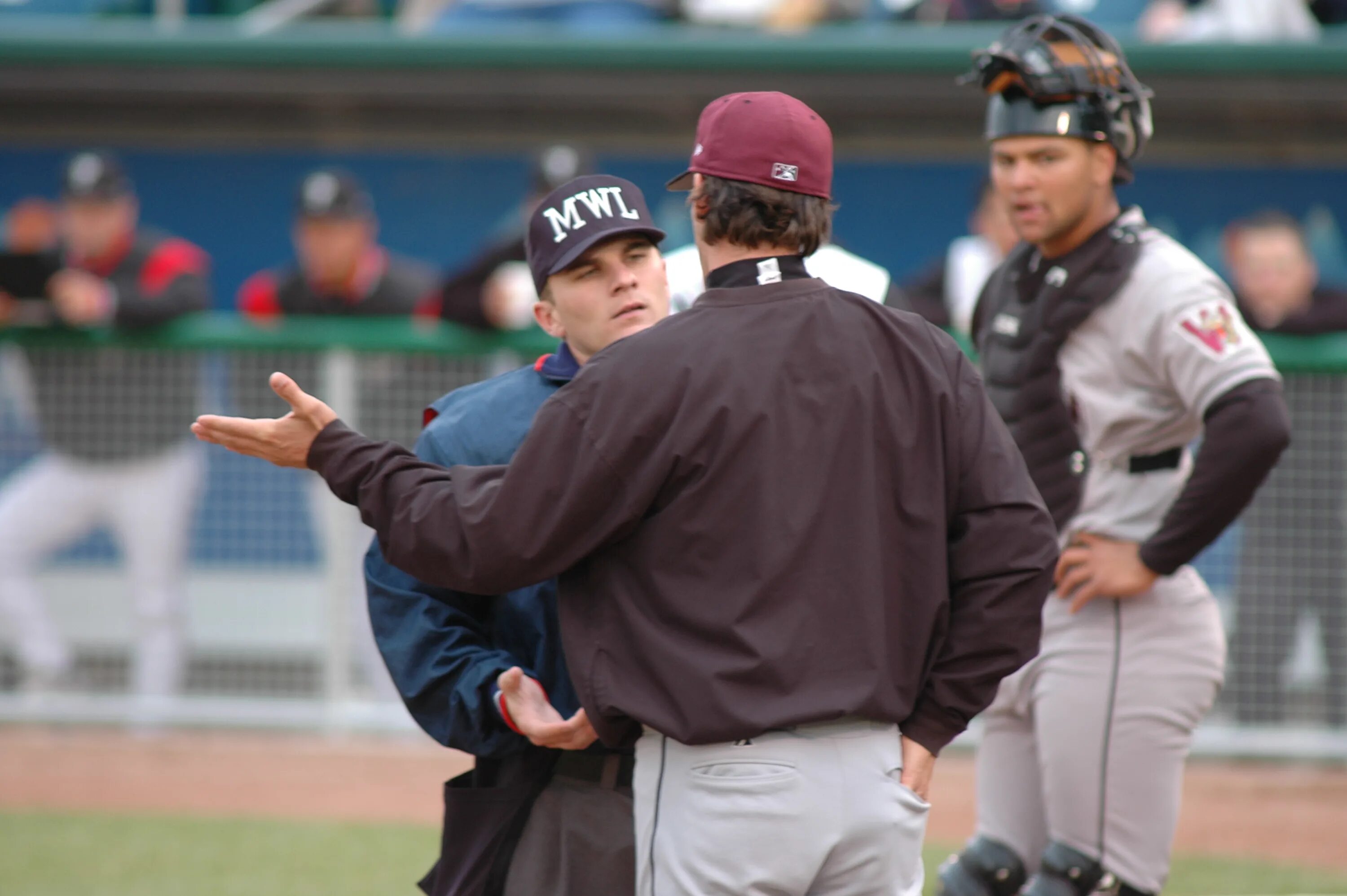 Бейсбольная лига MLB Маскот. Бейсбольный менеджер. Referee and Umpire difference. Тренер бейсбол