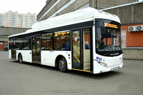 Петербург сайт автобусов