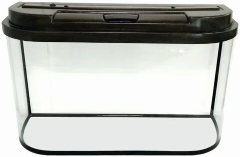 Oasis 110