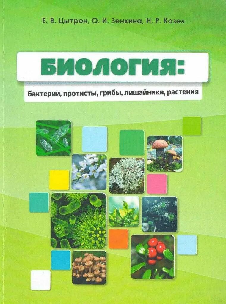 Тест лишайники 7 класс биология. Биология растения бактерии грибы лишайники. Еленевский а. г. биология: растения, бактерии, грибы, лишайники. Растения. Бактерии. Грибы. Клепинина з.а.. Растение гриб бактерия биология.