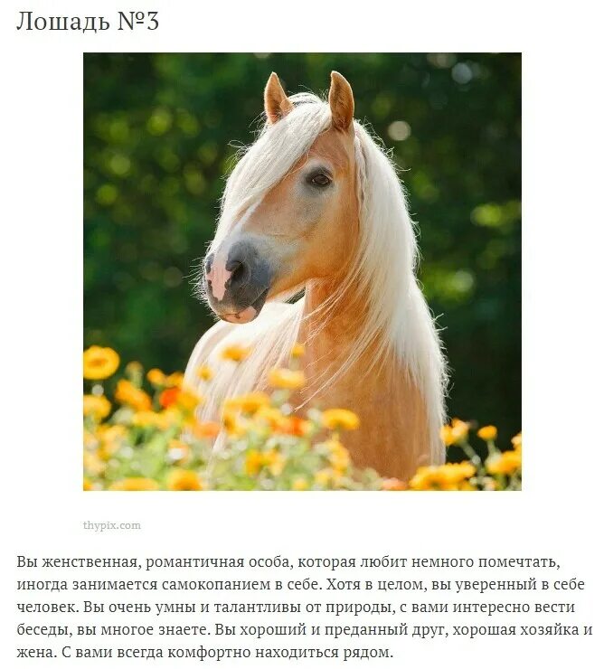 Конь выберите