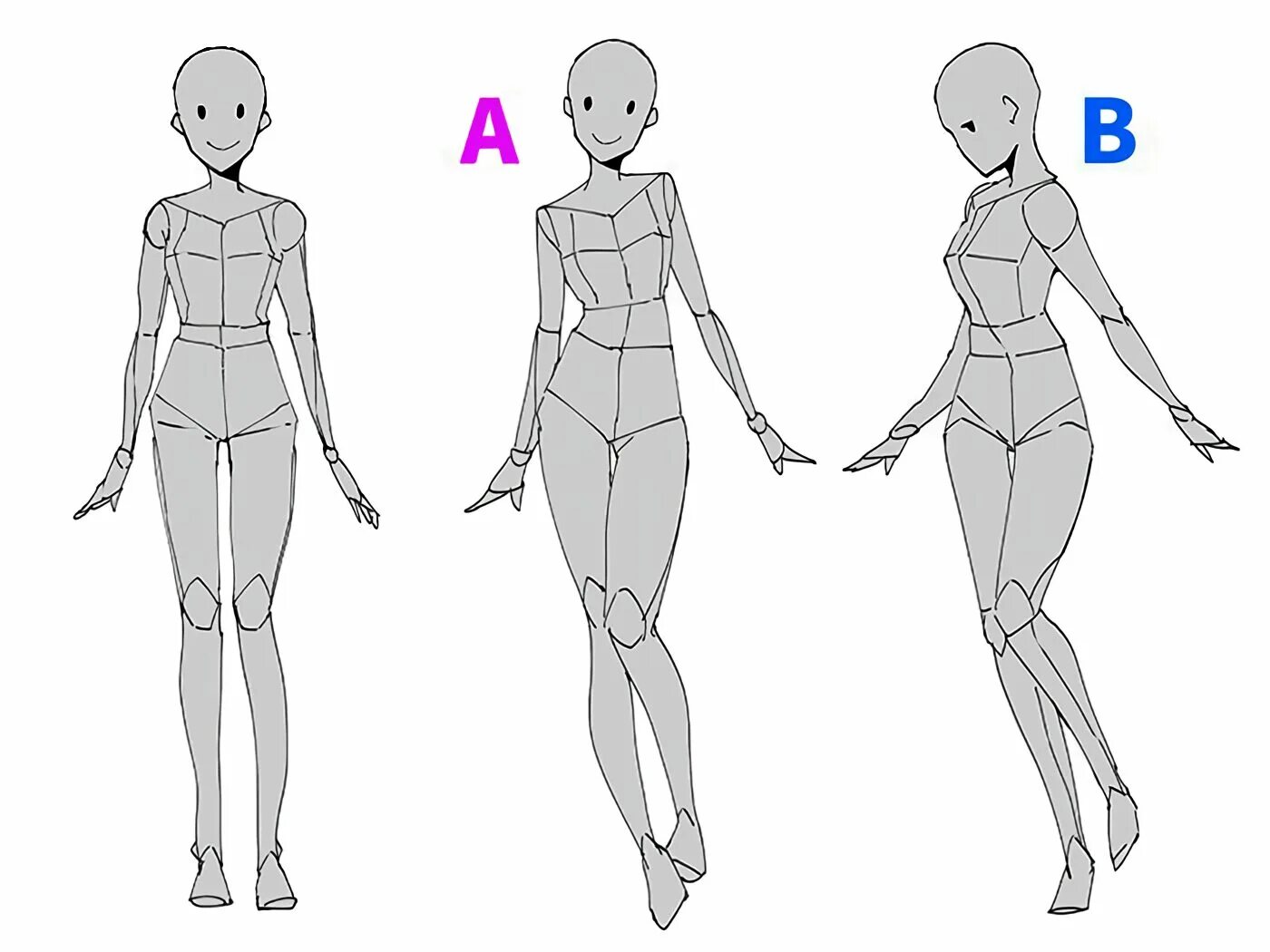 Тип рисования человека. Типы тела для рисования. Тело девушки для рисования. Туториал на рисование тела. Типы рисования людей.