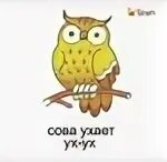 Как будет сова по. Как говорит сова. звукоподражание совы детям. сова ухает. карточка сова для детей.
