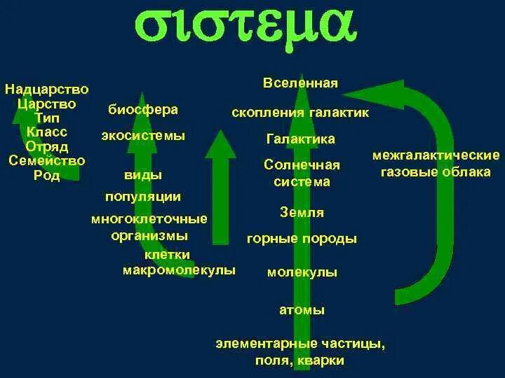 Таблица царство вид отряд. Надцарство царство Тип класс отряд. Человек Империя Надцарство царство. Царство Надцарство Подцарство Тип класс отряд семейство род вид. Вид класс семествоцарство Надцарство.