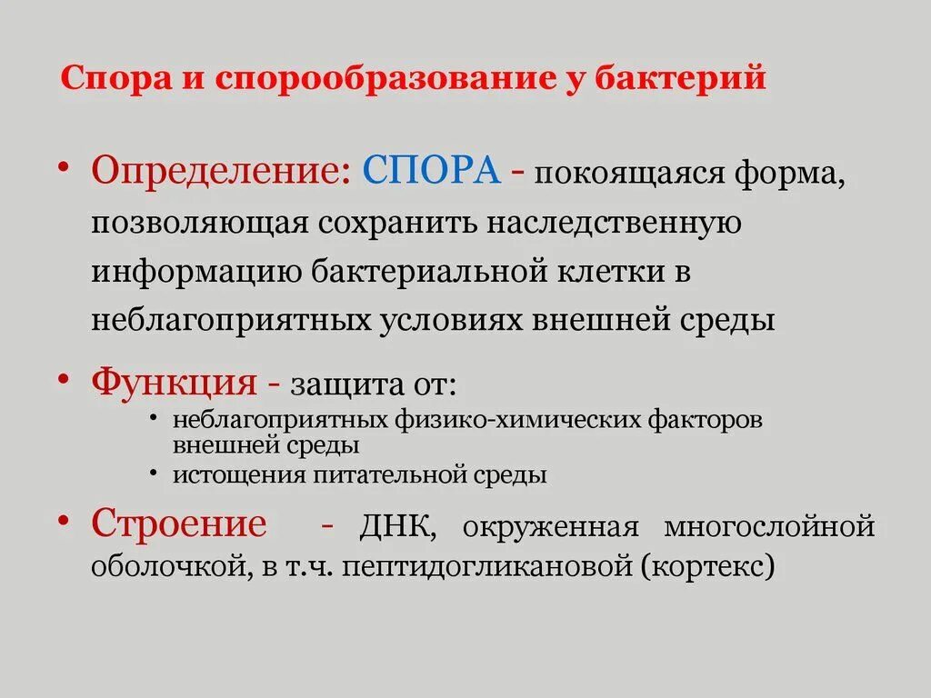 Какую функцию выполняют микроорганизмы. Функции спор у бактерий. какую функцию выполняют споры у бактерий. спора строение и функции. споры бактерий строение и функции.