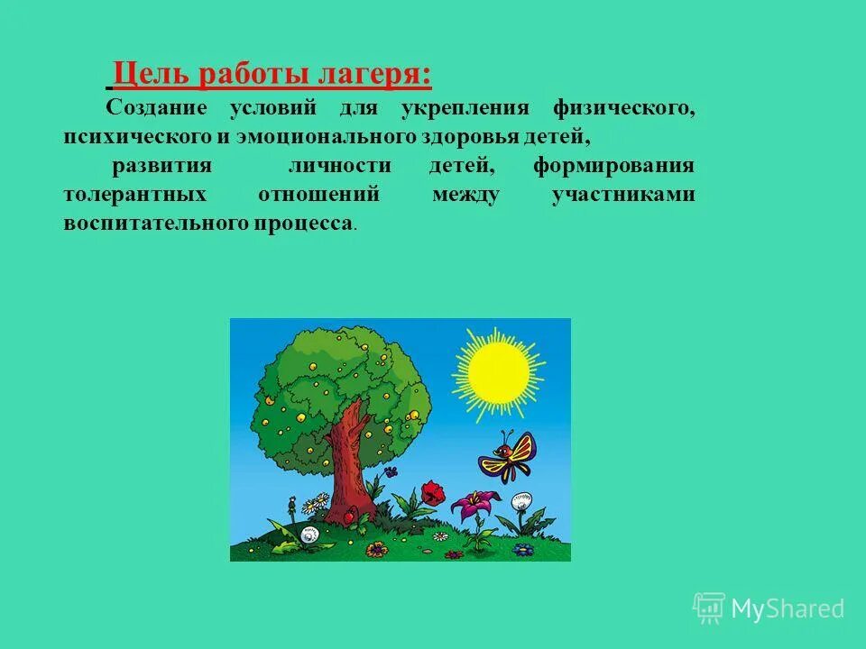 цель работы лагеря