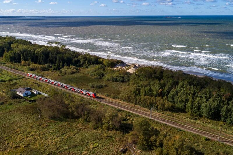 Сайт жд калининграда. Калининградская железная дорога. Железные дороги Калининградской области. Ласточка Калининградская область. Балтийский лес Калининградская ЖД.