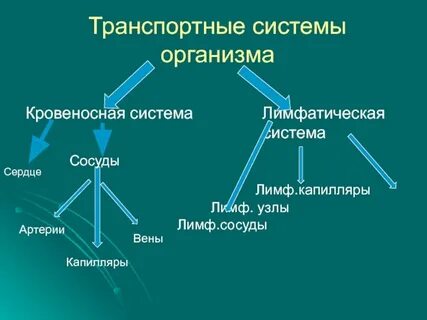 Транспортные системы группа