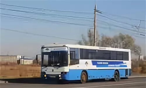 Автобус 193 новогиреево