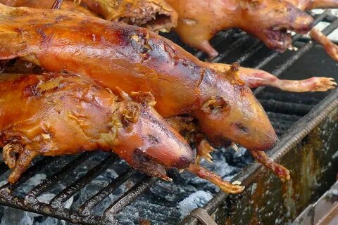 Вкус редкого блюда это информация