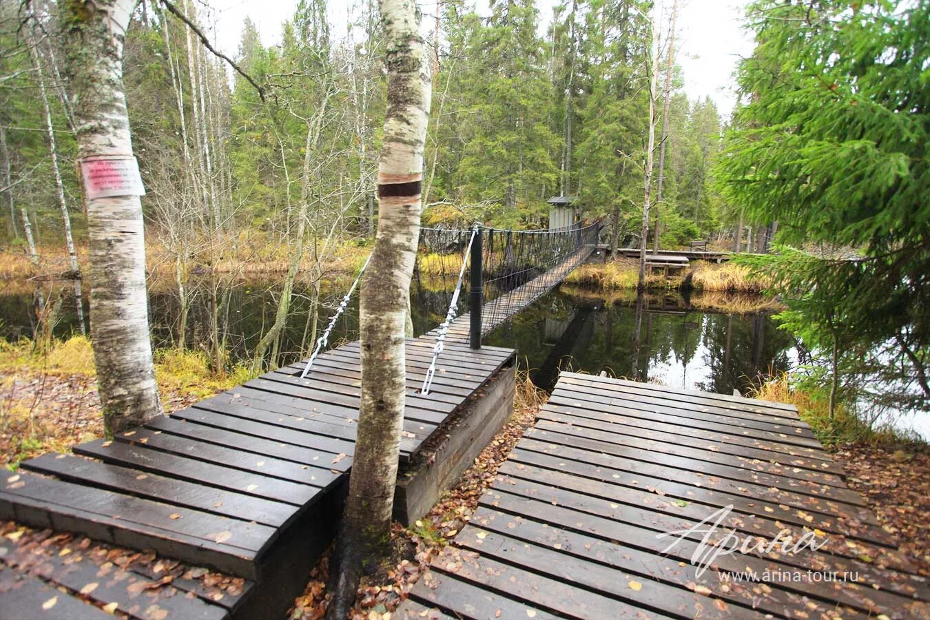 Курорт Марциальные воды в Карелии. Марциальные воды Петрозаводск. Санаторий Марциальные воды Карелия. Марциальные воды Кивач Карелия.