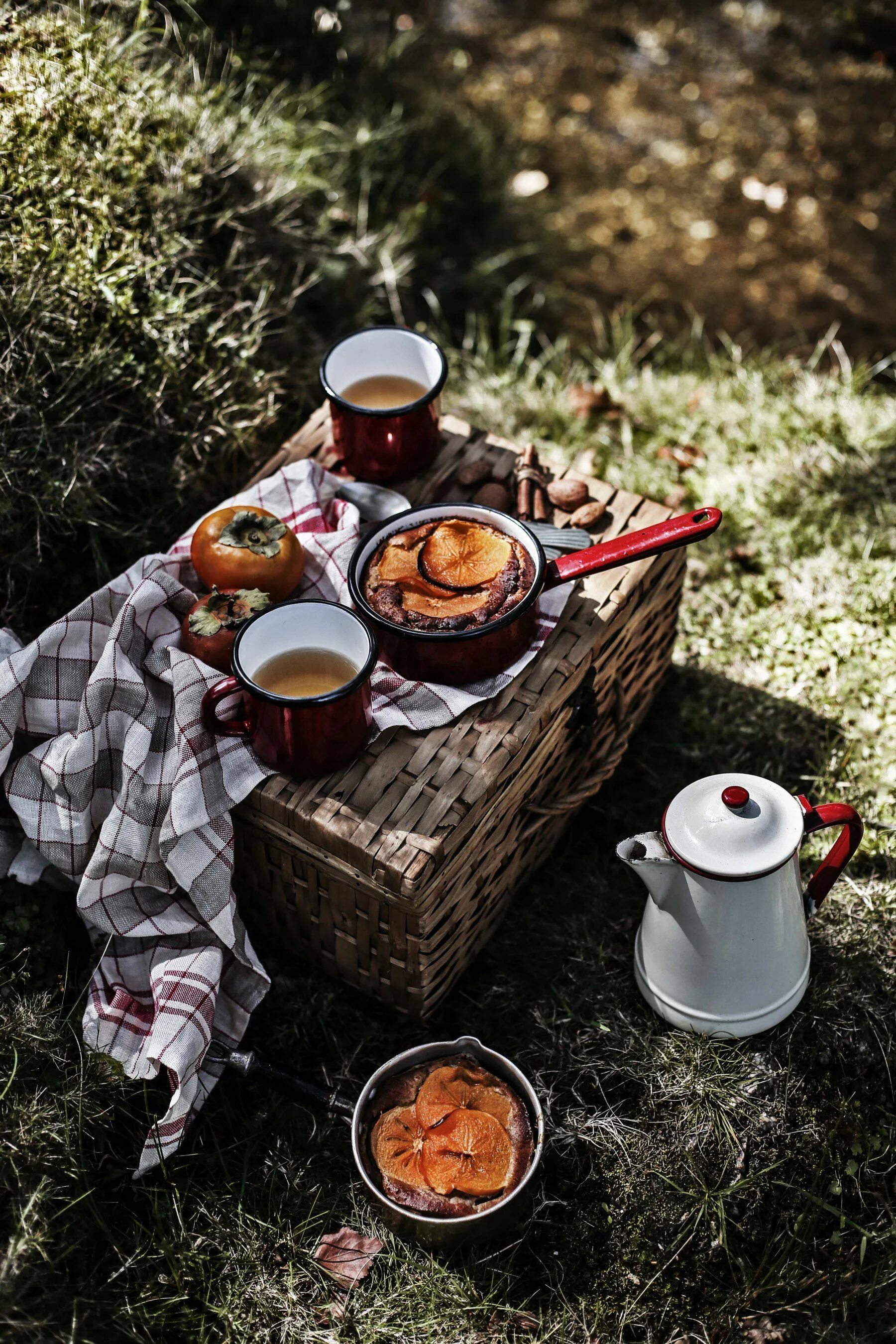 Утро пикник. Чаепитие на природе. Чай на природе. Осеннее чаепитие. Кофе на природе.