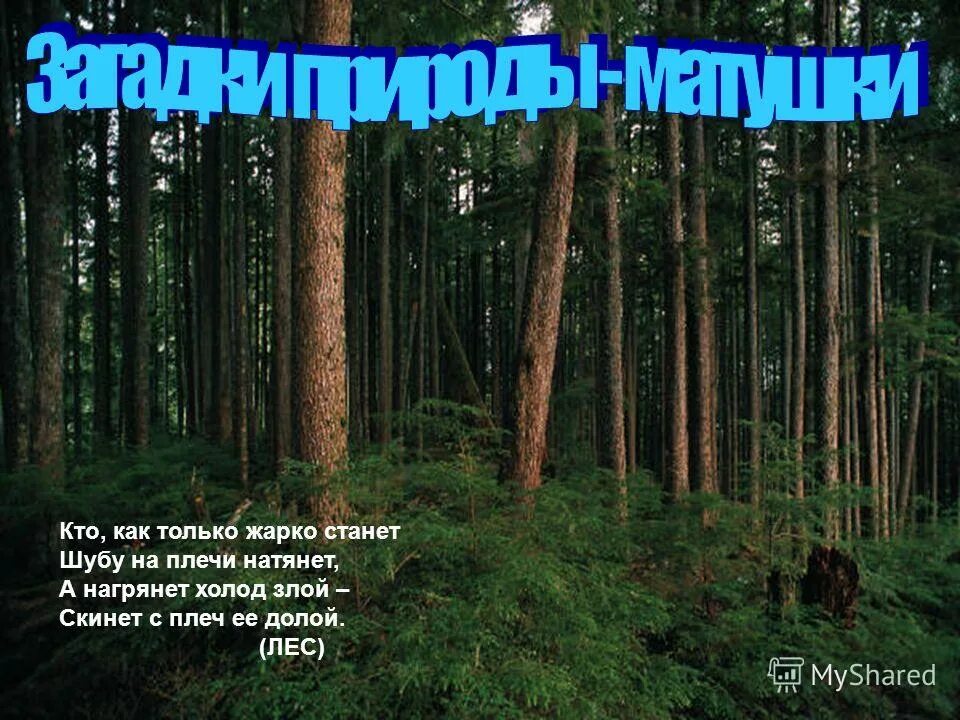 Загадка кто как только жарко станет шубу на плечи натянет. Восток заалеть в прошедшем времени. Как только жара спала в лесу стало. Если каждый человек на куске земли своей сделал бы всё. Как только жара спала в лесу стало.