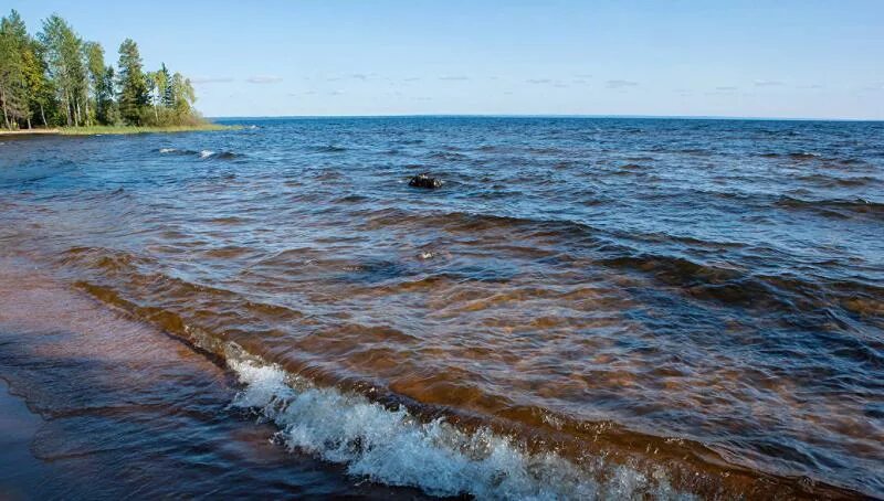 Шальский Онежское озеро. Берег Онежского озера. Онежское озеро Медвежьегорск. Пухтинский пляж Онежское озеро. Онежское озеро егэ