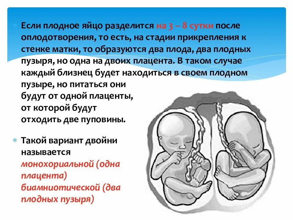 Многоводия 32 недели. Многоплодная беременность. Многоплодная беременность презентация. Пуповина при многоплодной беременности.