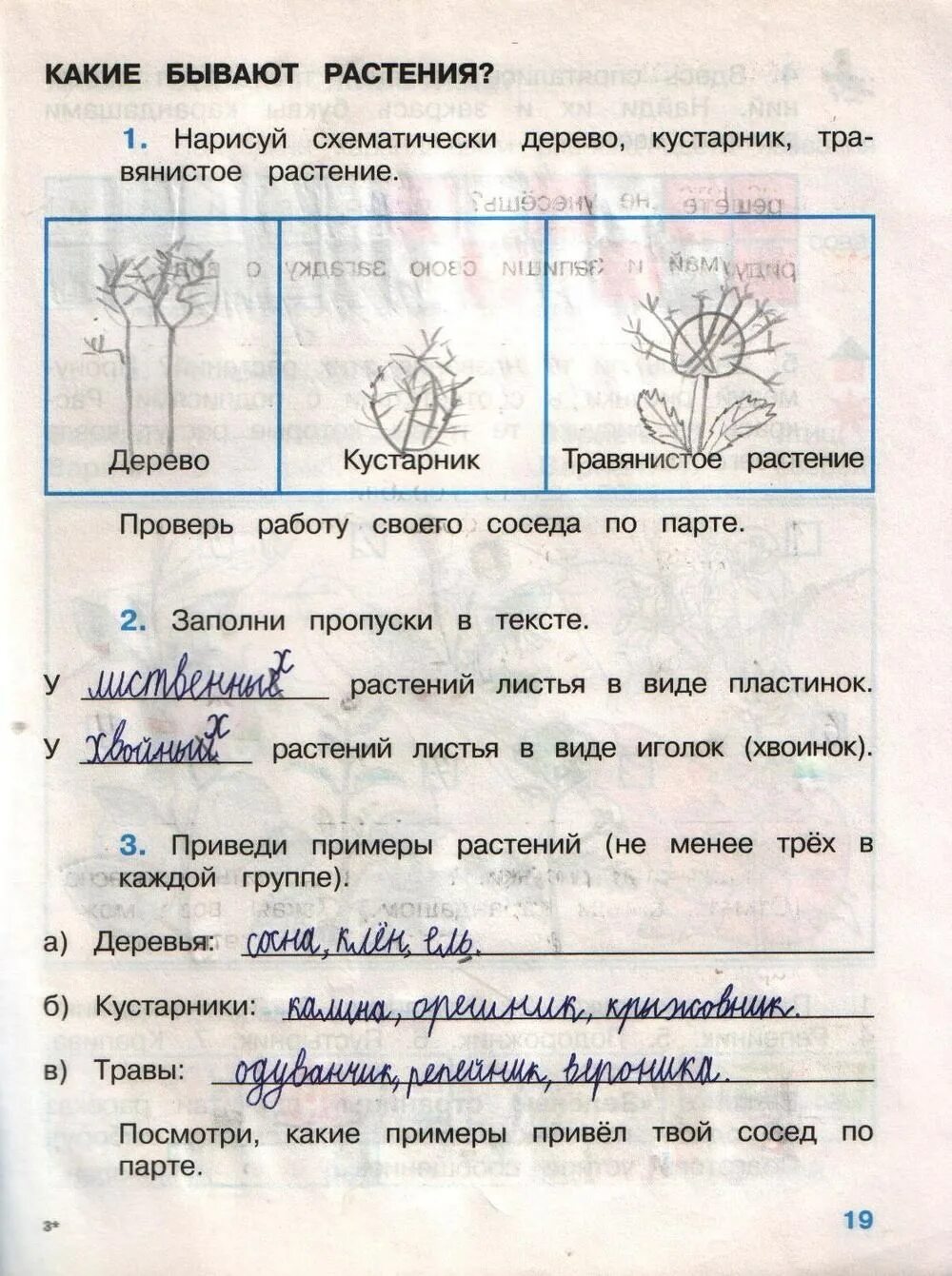 Окружающий мир 2 класс рабочая тетрадь 1 часть Плешаков ответы стр 19. Окружающий мир 2 класс рабочая тетрадь Плешаков стр 3. Окружающий мир 2 класс 2 часть рабочая тетрадь а а Плешаков 2 часть. Рабочая тетрадь окружающий мир 2 класс две части Плешаков.