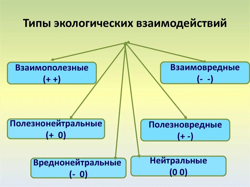 Виды связей в экологии