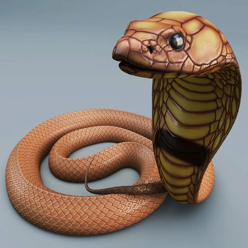 Змея 2 д. Змея. Змея 3d. Змея 3д модель. 3d модель змеи.