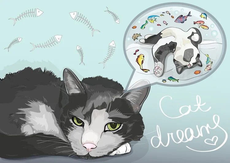 Мечтающая кошка. Кот мечтает. Кот в мечтах. Мечты кошки. Мечтающие коты.