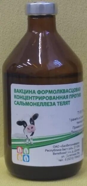 Вакцина формолквасцовая против сальмонеллеза телят Армавир. Вакцина против сальмонеллеза Армавирская Биофабрика. Вакцина против сальмонеллеза КРС. Вакцина против сальмонеллеза пастереллеза телят. Вакцина от сальмонеллеза