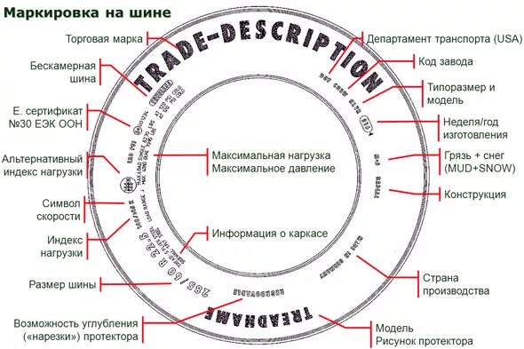 Зимняя резина для мотоцикла: что являет собой, размеры и параметры, ТОП-5 лучших