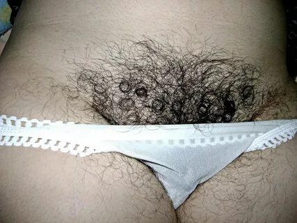 Hairy Bush In Panties.