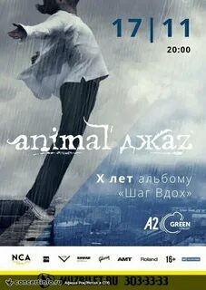Animal джаz полоски