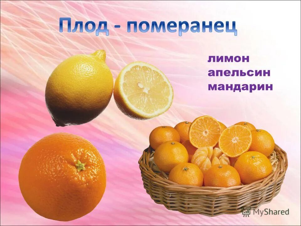 Чем полезен апельсин. Чем полезны мандарины. Витамины содержащиеся в апельсине. Какие витамины есть в апельсине. Какие витамины в апельсине.
