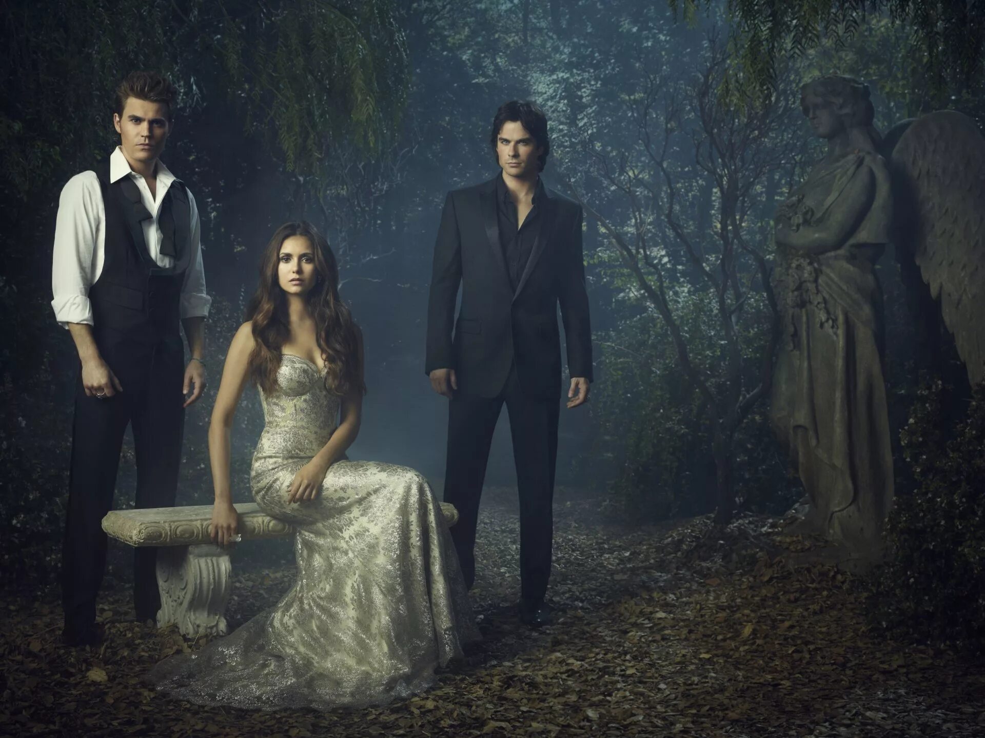 The vampire series