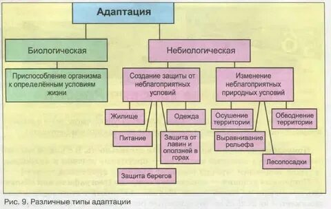 Приведите примеры адаптации людей к природным условиям