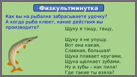 Как пишется слово щука