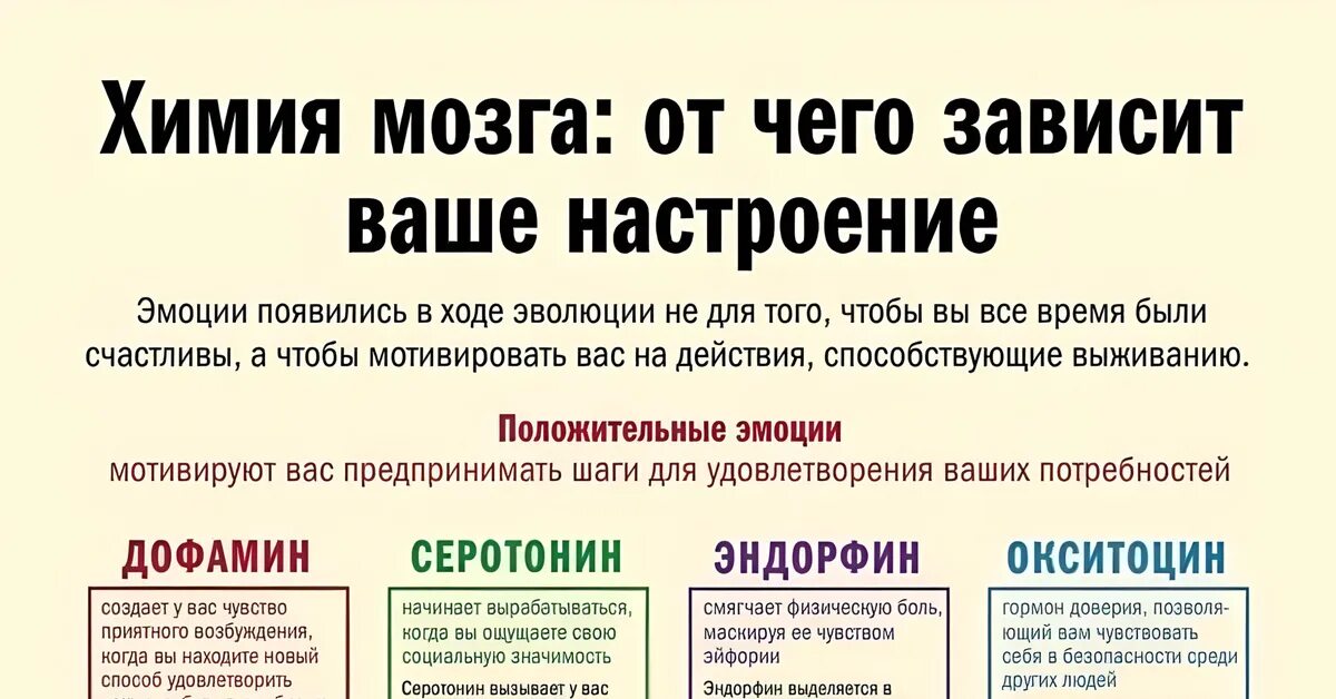 Эндорфин чувство вызывает в человеке. Химия мозга от чего зависит настроение. Химия мозга от чего зависит ваше настроение. От чего зависит настроение человека. Химия мозга гормоны.