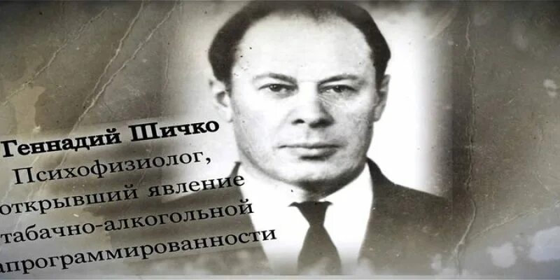 Шичко. Метод шичко. Дневники шичко