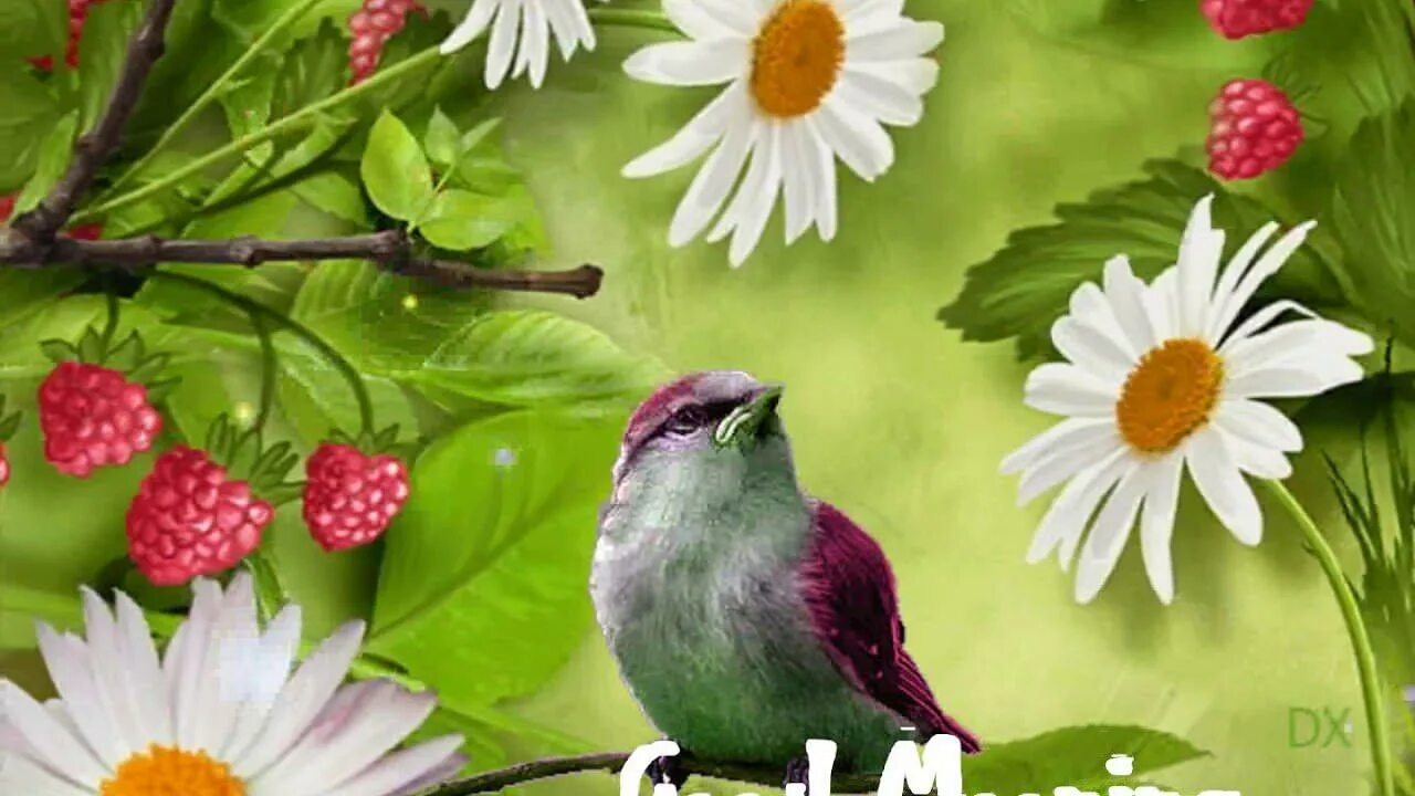 Песни птицы живых. Доброе утро птички. Красивые птички с добрым утром. Доброе утро с птичками живыми. Открытки с добрым утром с птицами и цветами.