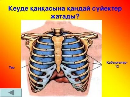 Софи Ховард секс