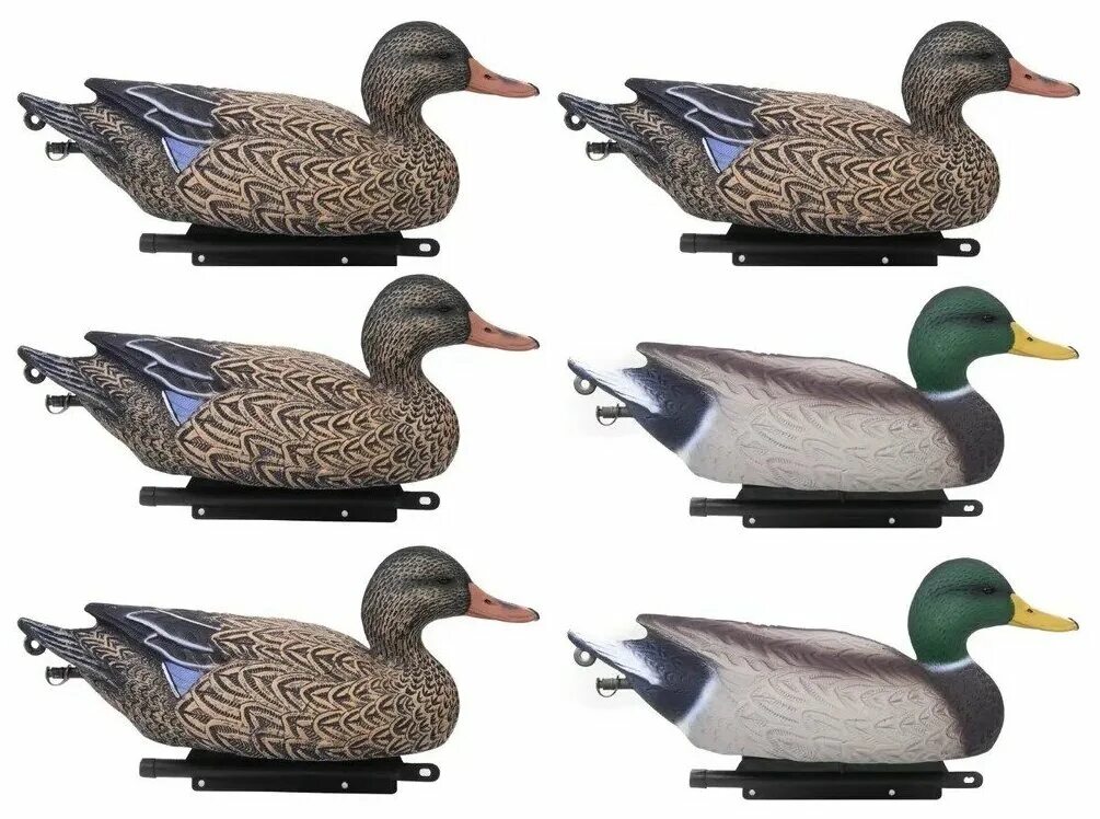 Кряква чучела уток. Чучело утки для охоты совпласт. Кряква чучела уток. Чучело чернеть утка манкофф. Чучело чернеть хохлатая селезень.