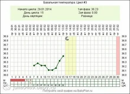 Овуляция сколько раз в месяц