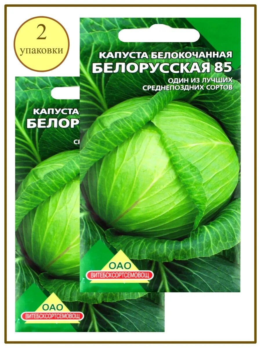 Капуста белорусская описание сорта отзывы. Капуста белорусская. Немецкая капуста. Вес тысячи семян капусты.