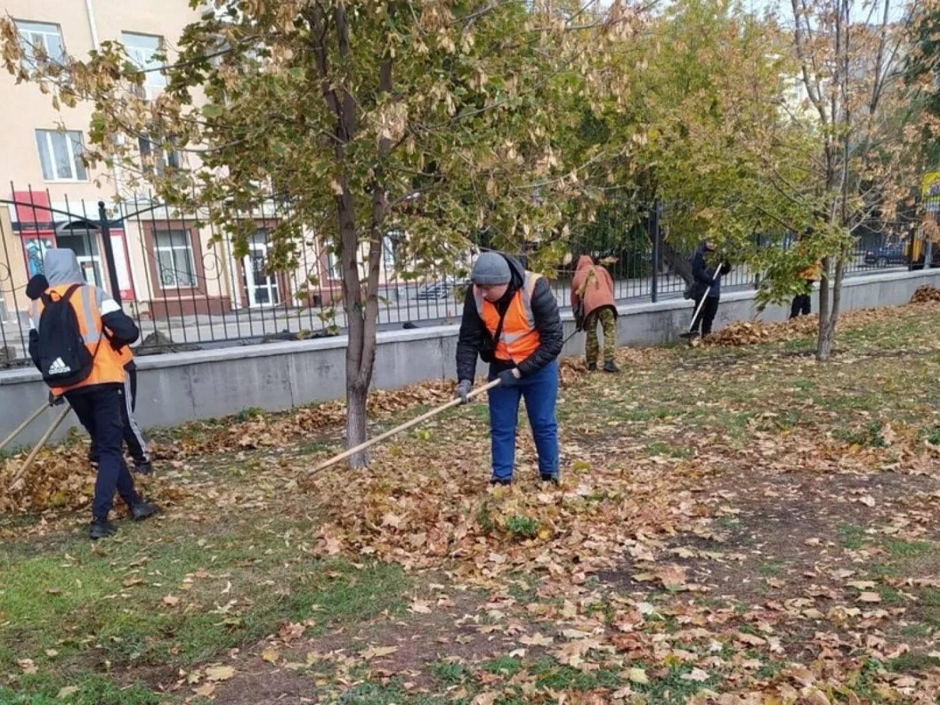 МБУ города Кургана «дирекция парков и скверов». Уборка парков. Дирекция парков. Дирекция парков Балашиха.