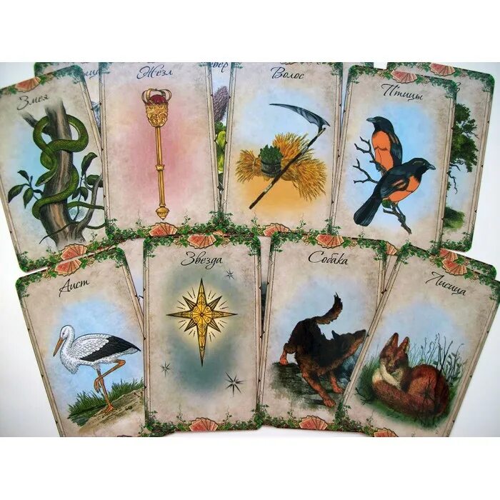 африканский оракул отзывы