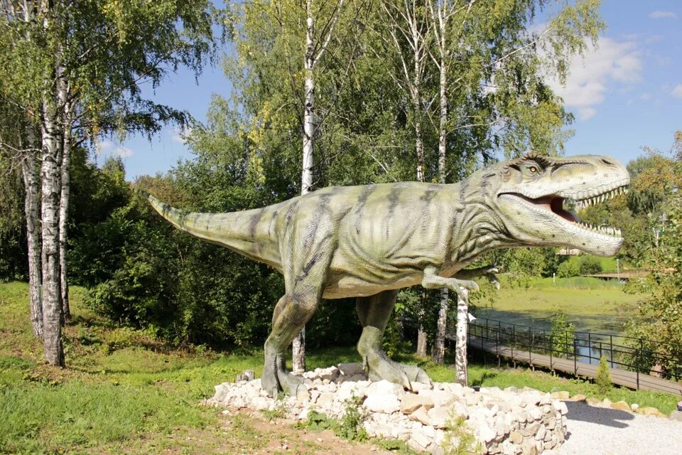 Парк про динозавров. Котельнич парк динозавров. Г Котельнич Динопарк. Парк динозавров в Котельниче Кировской области. Город Котельнич парк динозавров.
