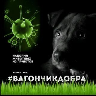 20 сбора