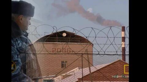 Слушать песню гио черный дельфин