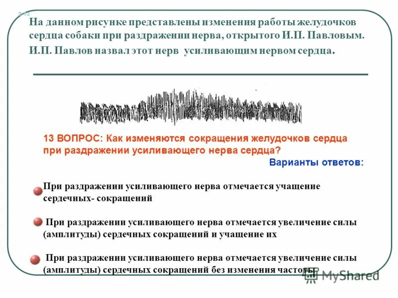 Как изменяются с уменьшением массового. Увеличение силы сокращения желудочков. Усиление силы сокращения желудочков. Учащение и усиление сердечных сокращений вызывается возбуждением. Как будет изменяться работа сердца при раздражении блуждающих нервов.