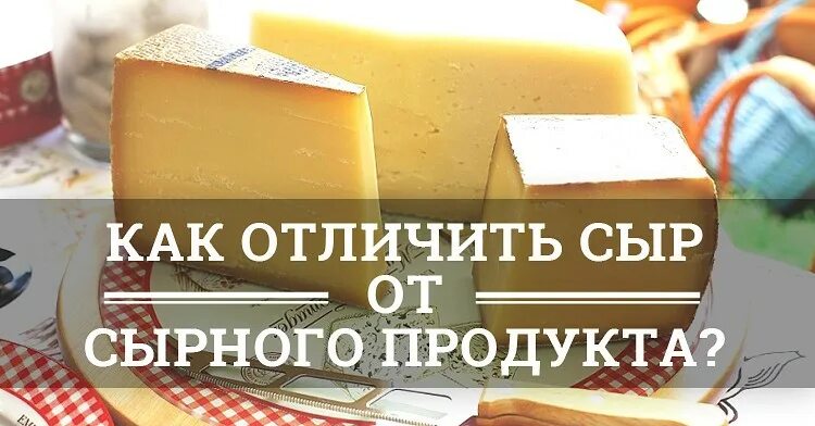 Отличие сыра от сырного продукта. Отличия сыра и сырного продукта. Сырный продукт и сыр как отличить. Разница сыра и сырного продукта.