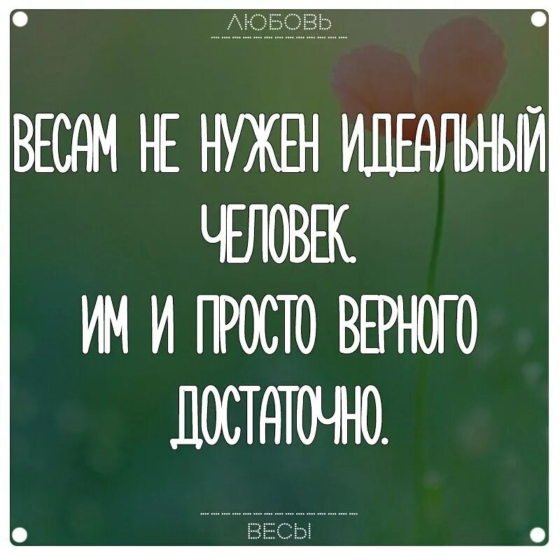 Не жалей что было береги что есть. Не жалей что было береги что есть