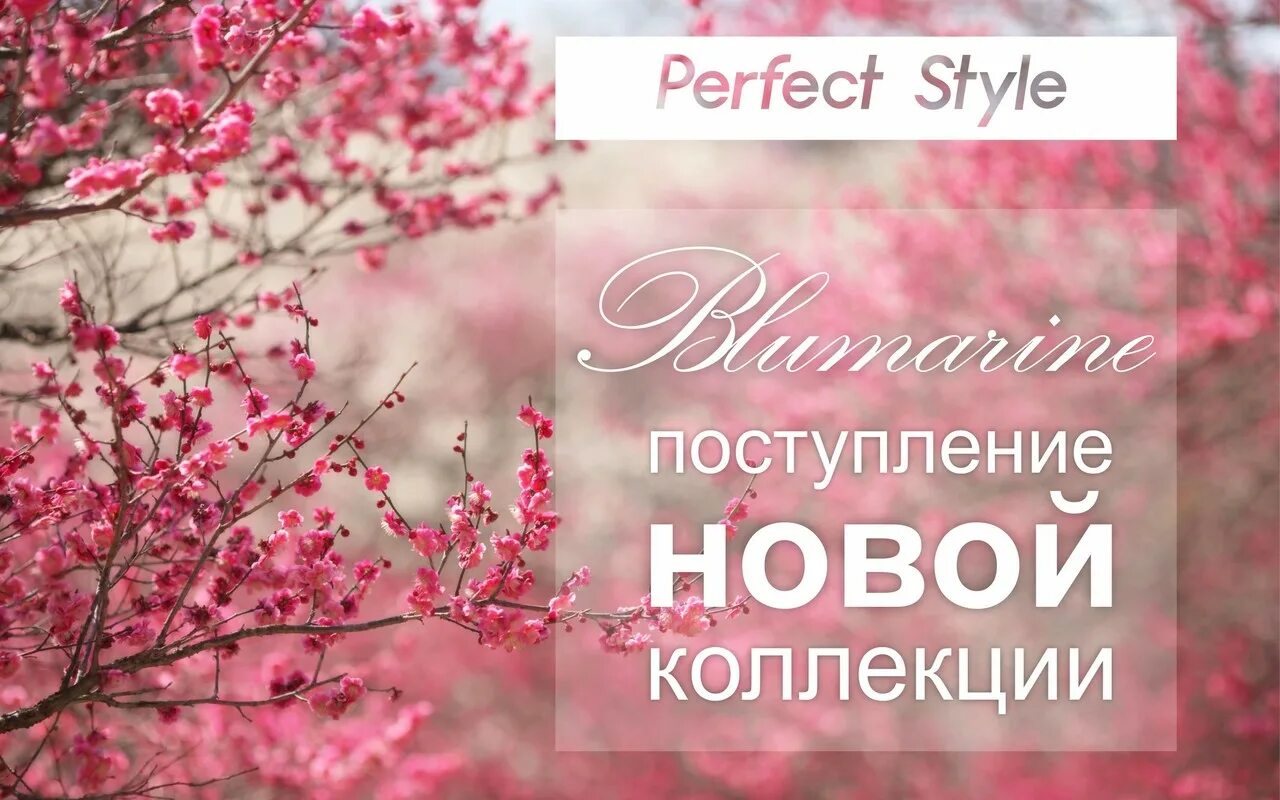 Now collection. Новое поступление. Новое поступление товара.