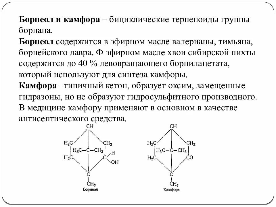 Бициклические терпены камфора. Борнеол камфора. Камфора фармакологическая группа. Бициклические терпеноиды.