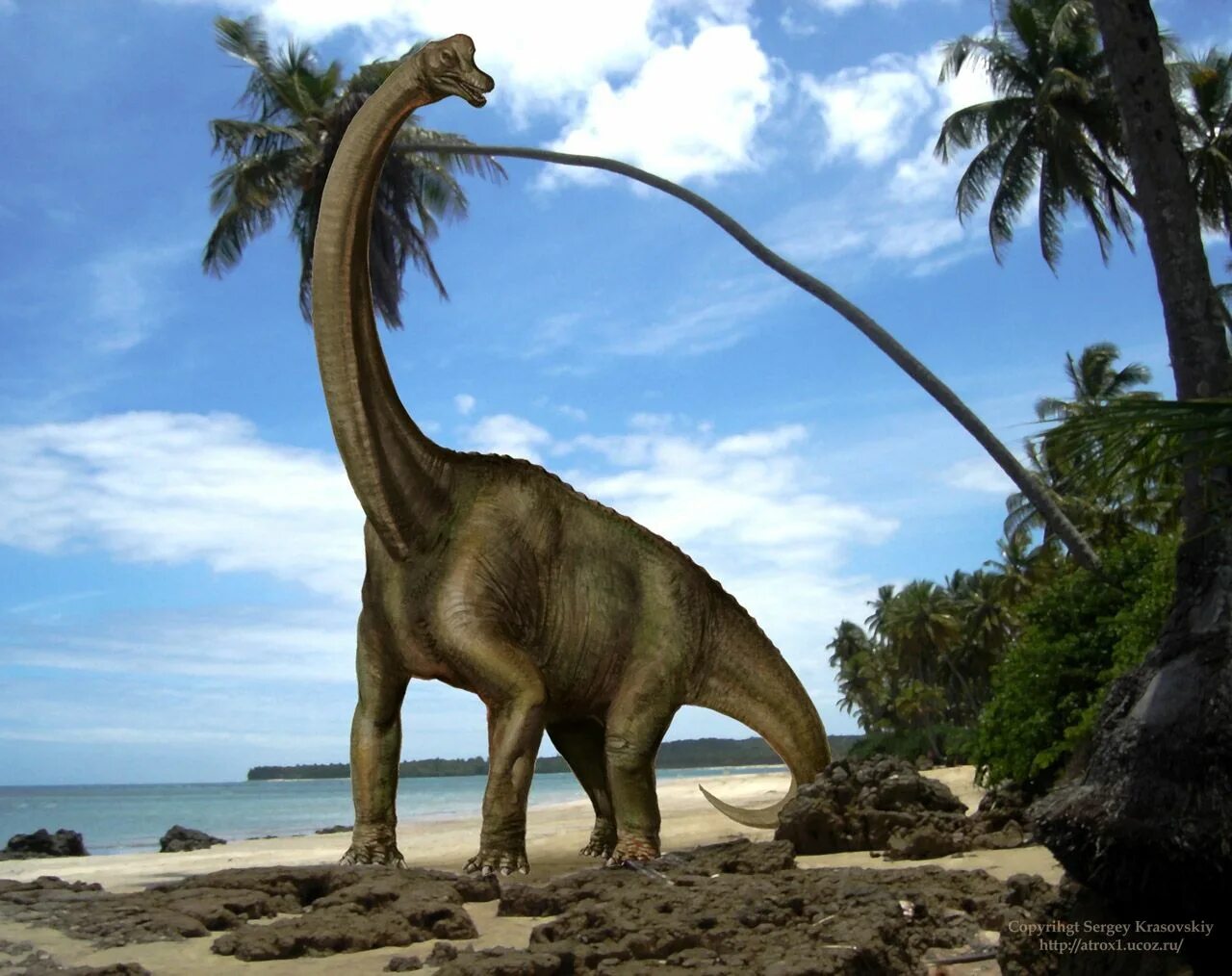 Длинношеий динозавр. Травоядные динозавры Брахиозавр. Жираффатитан динозавр. Травоядные динозавры Диплодок. Жираффатитан зауропод.