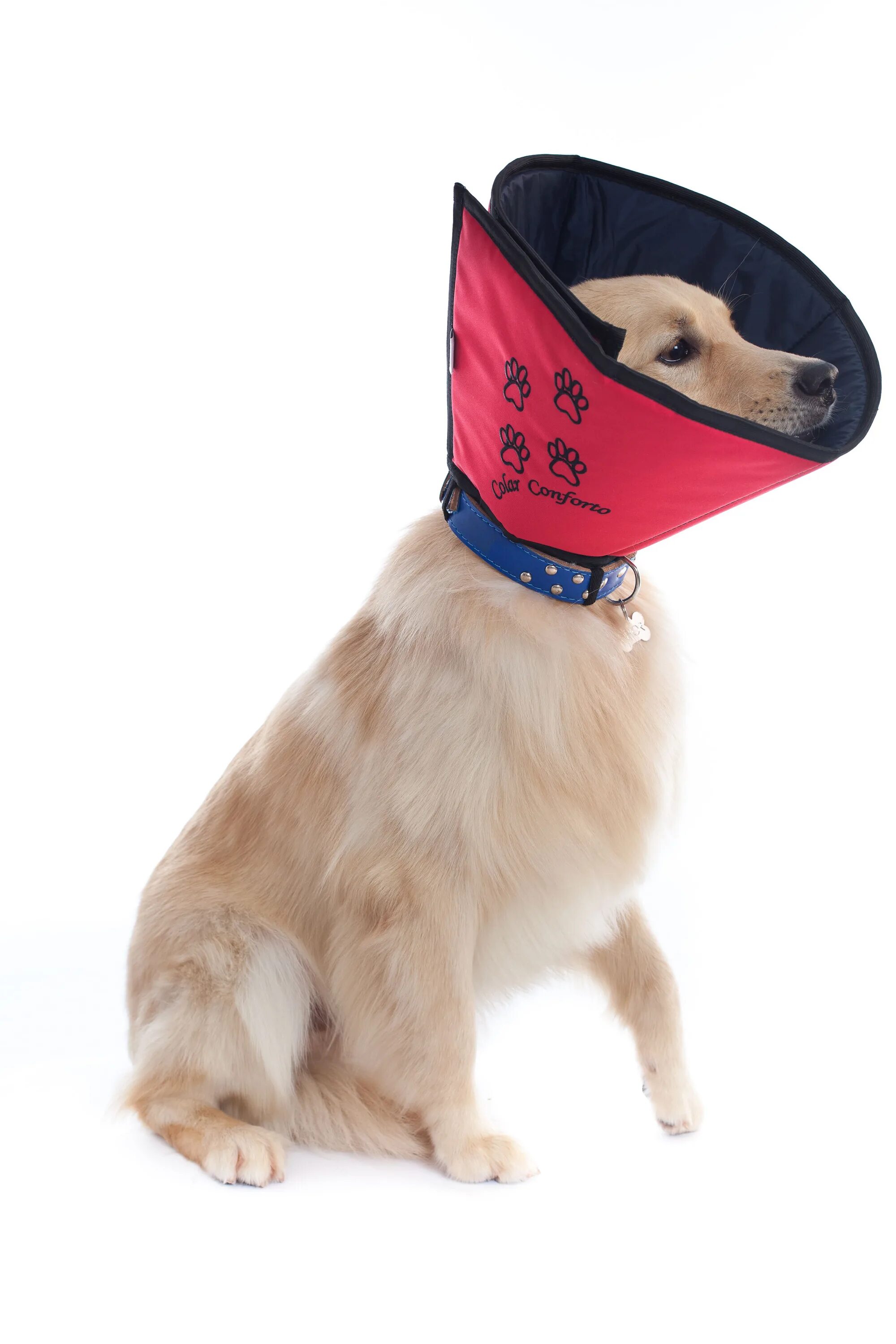 Воротник для собаки. Kruuse защитный воротник 10 см. защитный воротник kruuse buster comfort collar 10 см. защитный воротник kruuse buster clic collar 40 см. мягкий воротник для собак.